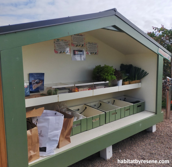 Reader roundup A Resene Christmas, colourful plant pots and Pacific