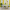 Dining room painted in yellow and white stripes featuring Resene Quarter Spanish White and Resene Energy Yellow