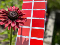 Reader roundup: Bold and bright projects Reader roundup: Bold and bright projects