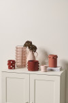 Creative and cost-effective testpot ideas for your home