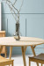 Eucalyptus: the tranquil tone that works wonders in every space 