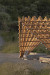 Timber Monogamy pavilion: A sustainable landmark in Papamoa 