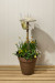 Create a rustic outdoor wine glass holder