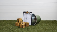 Backyard fun – Yahtzee dice