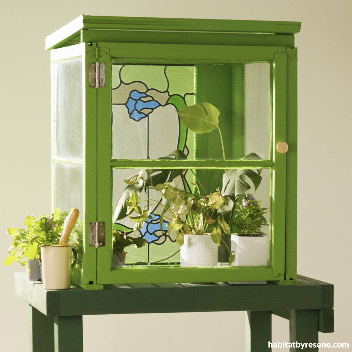 Let’s get glassy A DIY guide to make your own mini glasshouse