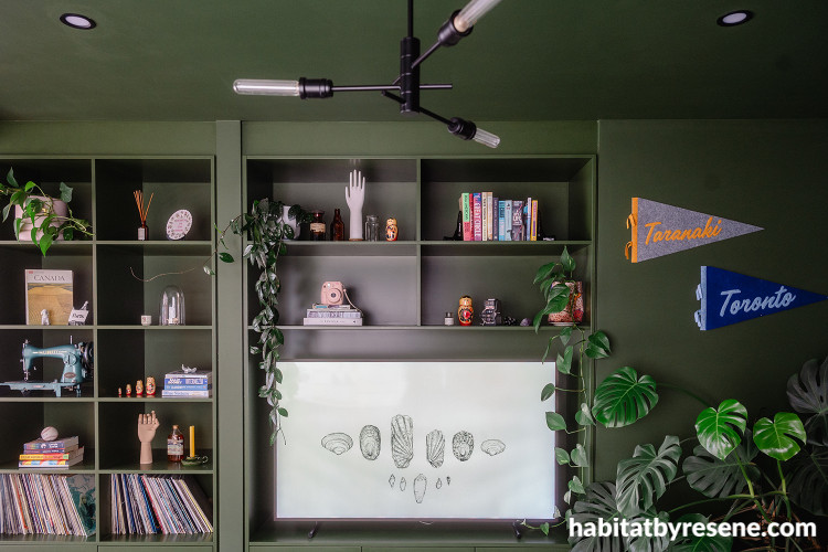 Living room with walls, shelving and ceiling in Turtle Green