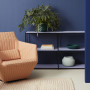 Living room featuring bold blue walls