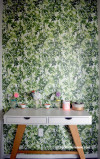 feature wall, feature wallpaper, leaf wallpaper, green wallpaper, entranceway, hallway 