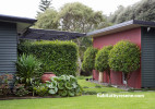 garden, house exterior, red exterior, grey exterior, grey house, red feature wall, house garden 