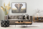 lounge, living room, grey lounge, grey living room, resene archive grey, elephant print