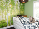 children, bedroom, kid's bedroom, green, forest wallpaper