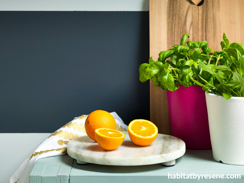 Win Tickets to the Auckland Home Show! Habitat by Resene